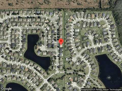Wood Thrush, KISSIMMEE, FL 34744