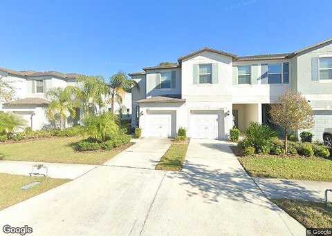 Cat Mint, TAMPA, FL 33619