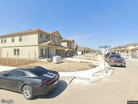 Angus, SAN ANTONIO, TX 78245