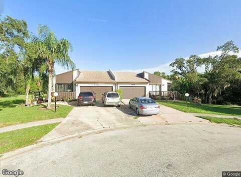Pheasant, MELBOURNE, FL 32935