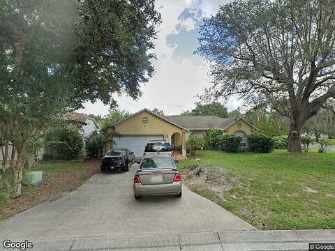 Hanging Moss, DAVENPORT, FL 33837