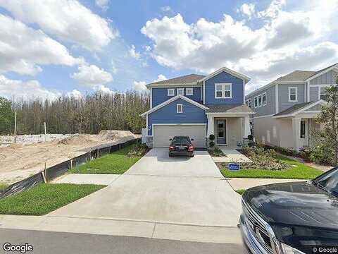Orange Berry, WESLEY CHAPEL, FL 33543