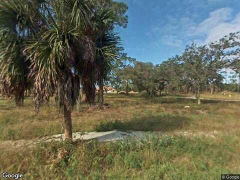 Shummard Oak, BONITA SPRINGS, FL 34135
