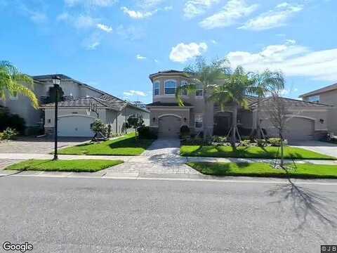 Coco Palm, WESLEY CHAPEL, FL 33543