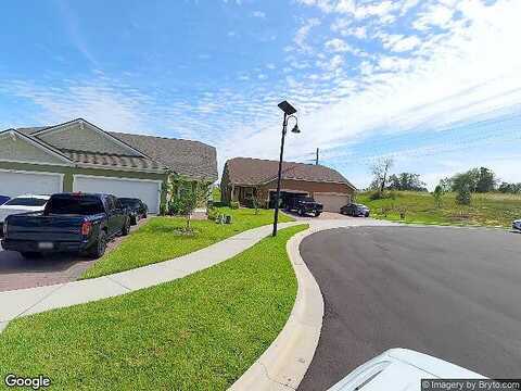 Spider Lily, CLERMONT, FL 34711