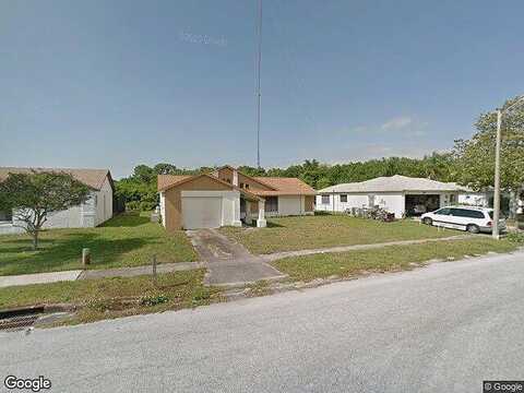 Narcissus, HOLIDAY, FL 34691