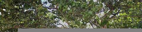 30Th, FORT LAUDERDALE, FL 33306