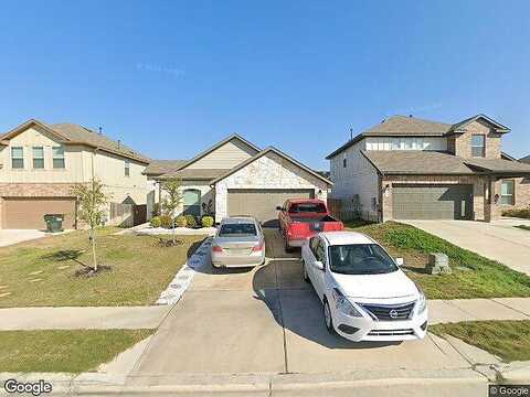 Noddy, BUDA, TX 78610