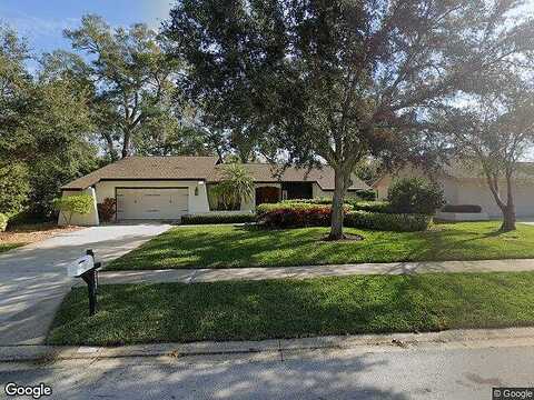 Indian, PALM HARBOR, FL 34683