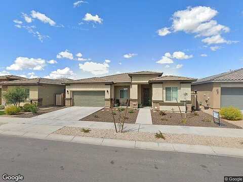 Desert Spoon, QUEEN CREEK, AZ 85142