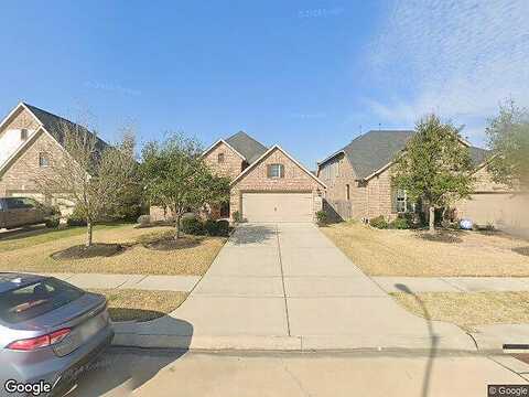 Angel Trumpet, KATY, TX 77494