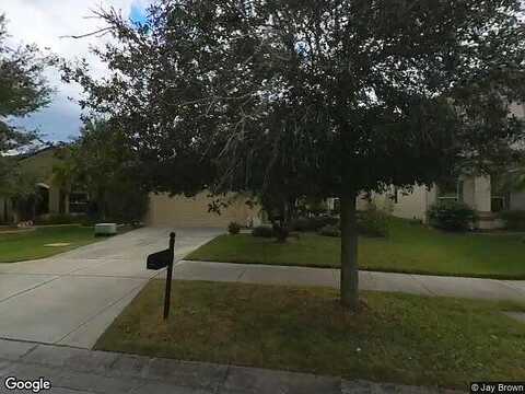 Autumn Fern, TAMPA, FL 33647