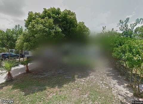Palm, CLEARWATER, FL 33763