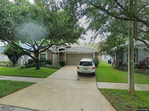 Nest Fern, TAMPA, FL 33647
