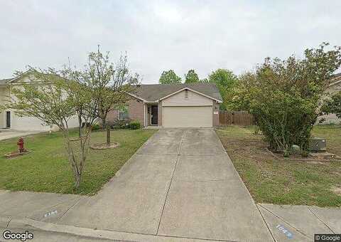 Dandelion, KYLE, TX 78640
