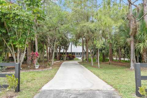 Draft Horse, WELLINGTON, FL 33414