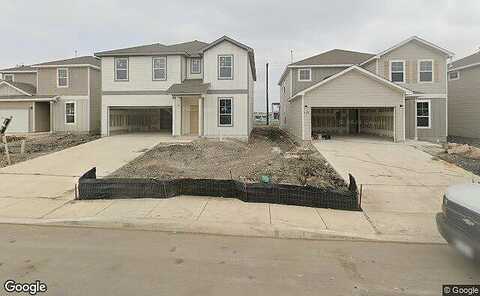 Redtail, SAN ANTONIO, TX 78253