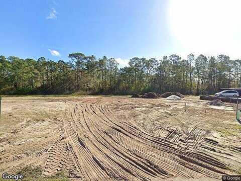Willow Bluestar, RIVERVIEW, FL 33579