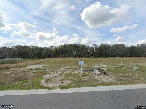 Wildflower Meadow, RIVERVIEW, FL 33579