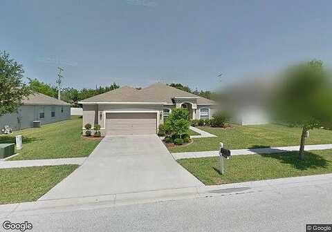 Cattail Shore, RIVERVIEW, FL 33579