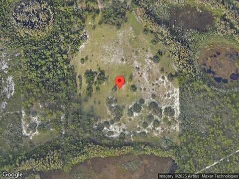 Brodlove, WINTER GARDEN, FL 34787