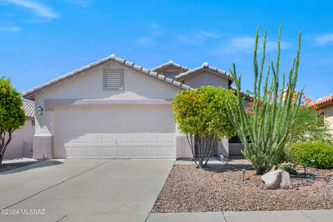 Blue Sage, MARANA, AZ 85658