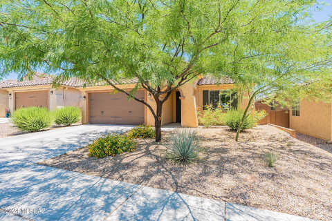 Raphael, TUCSON, AZ 85742