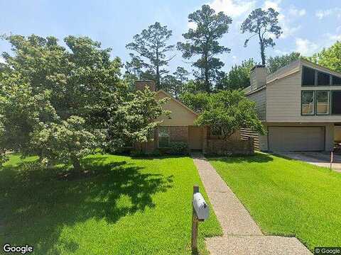Twain, MONTGOMERY, TX 77356
