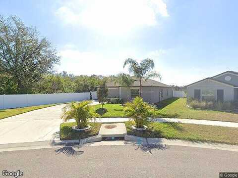 Misty Moss, WIMAUMA, FL 33598