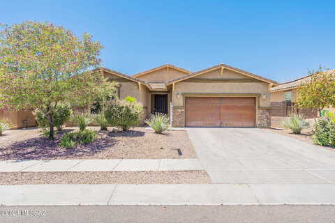 Gemma, ORO VALLEY, AZ 85742