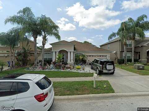 Sky Flower, LAND O LAKES, FL 34638