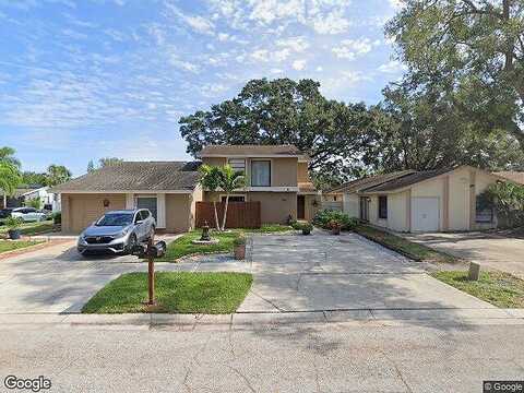 Weeping Willow, TAMPA, FL 33624