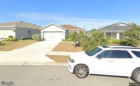 Pentas, HAINES CITY, FL 33844