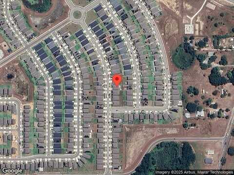 Lily, DAVENPORT, FL 33837