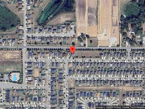 Pheasant, HAINES CITY, FL 33844