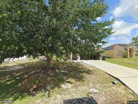 Grouper, KISSIMMEE, FL 34759