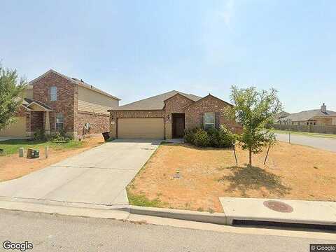 Daffodil, TEMPLE, TX 76502