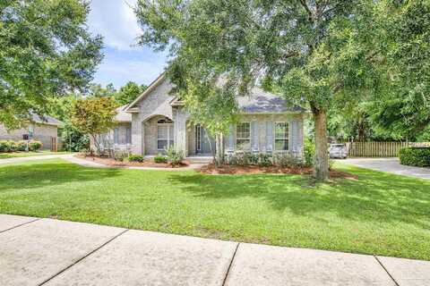 Marsh Elder, PENSACOLA, FL 32526