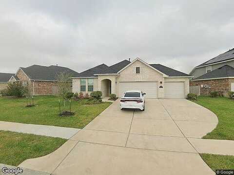 Royal Palm, FULSHEAR, TX 77441