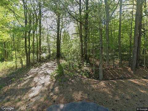 Highway 155, ELLENWOOD, GA 30294