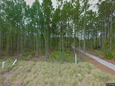 Jack Knife, INLET BEACH, FL 32461