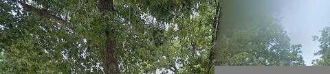 Pine Brook, LIVINGSTON, TX 77351