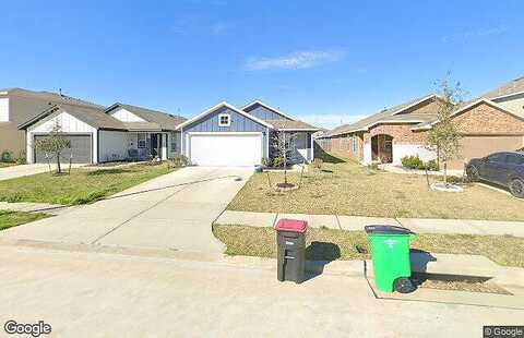 Thistle Star, HOCKLEY, TX 77447