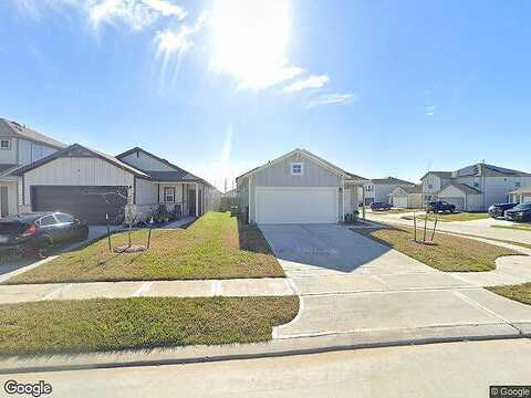 Juneberry Seed, HOCKLEY, TX 77447
