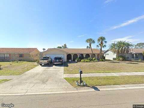 Flamingo, APOLLO BEACH, FL 33572