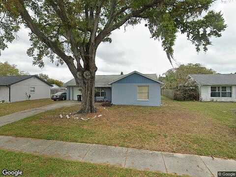 Monte Rio, NEW PORT RICHEY, FL 34655