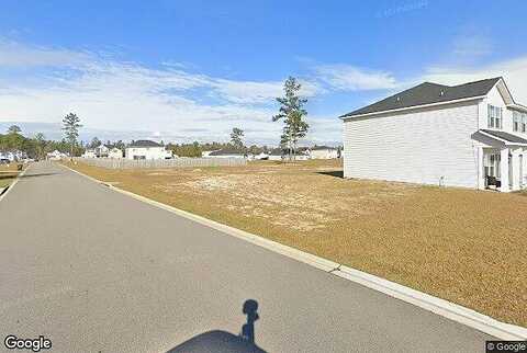 Morgan Field, LUDOWICI, GA 31316