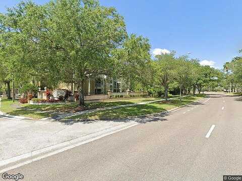 Carrington Park, TAMPA, FL 33647