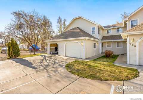 Moose, LOVELAND, CO 80537