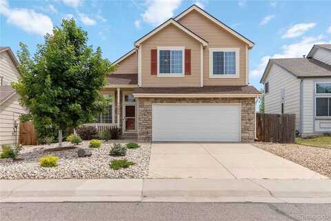 Spruce, CASTLE ROCK, CO 80104